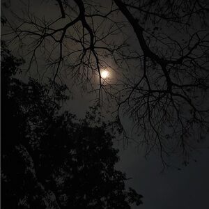 𝓶𝓮𝓰 🦢🌙🕯️🖤